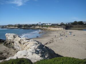 Natural Bridges State Park - Santa Cruz